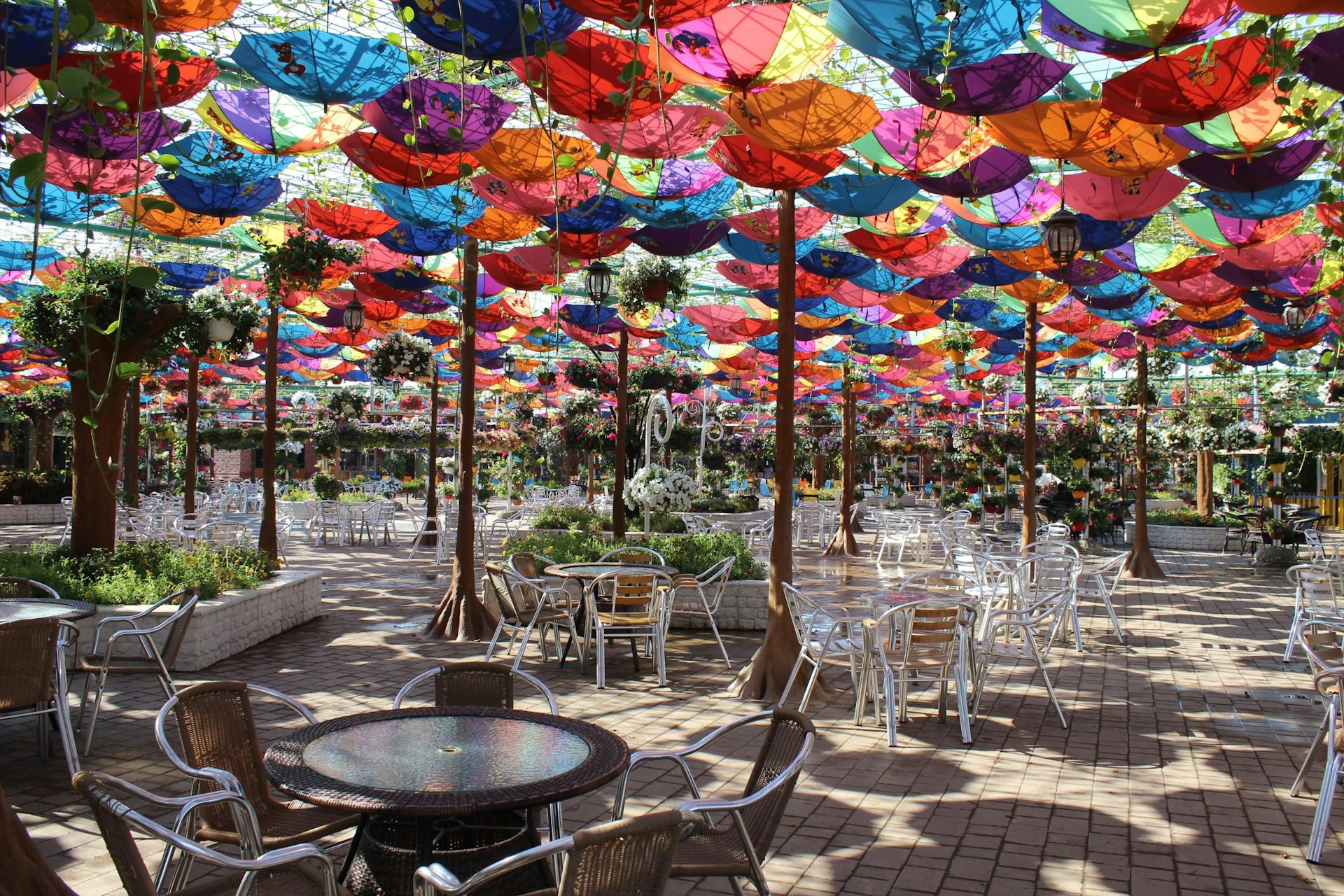 Colorful umbrella canopy garden.