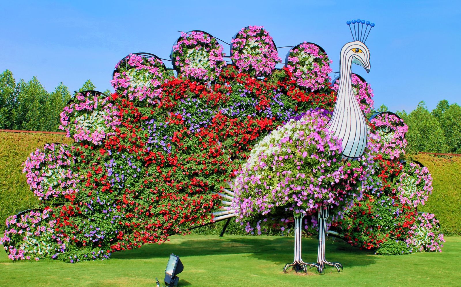 Combo Deal: Burj Khalifa + Dubai Miracle Garden Tickets - View 5