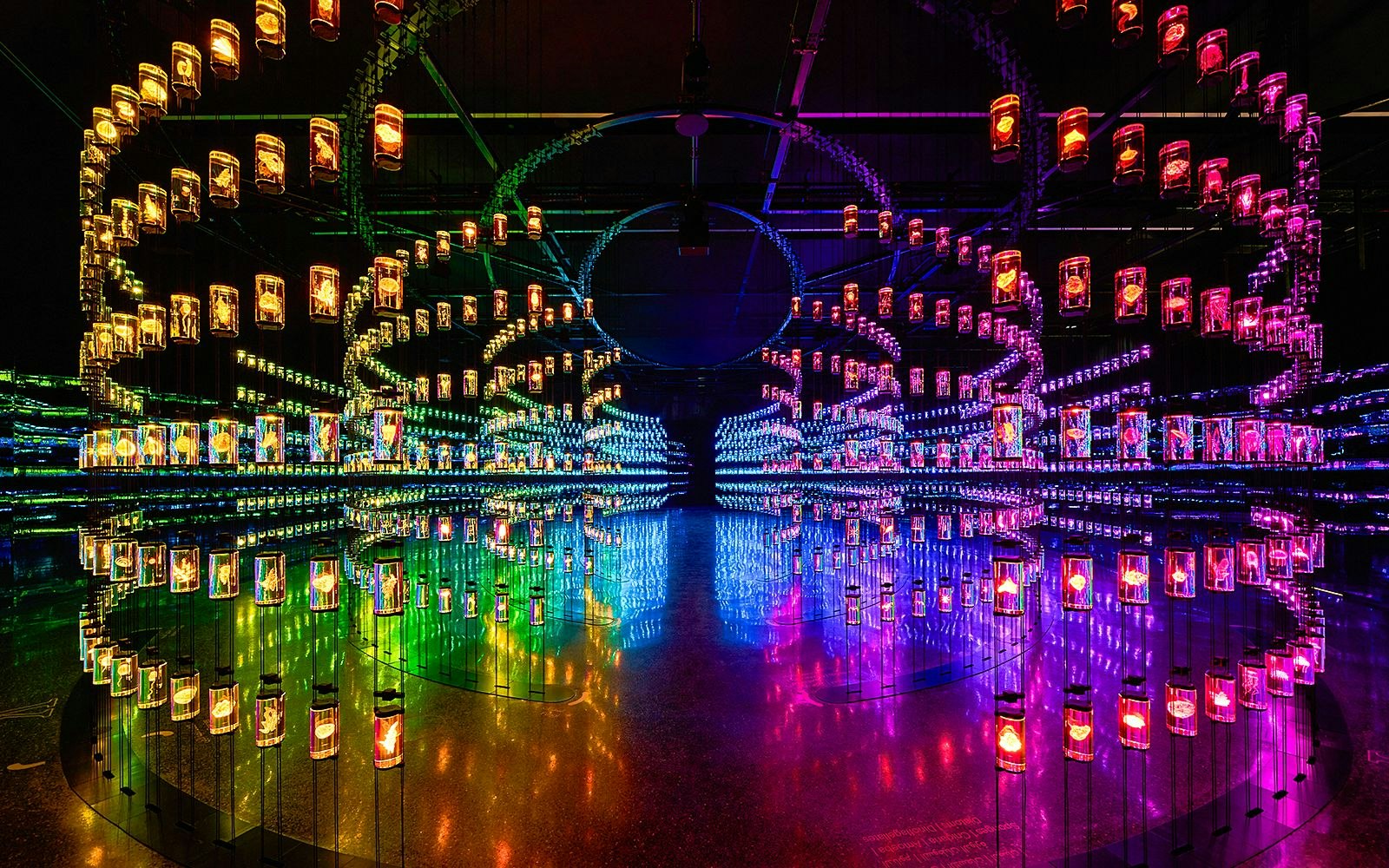Colorful light installations in museum.
